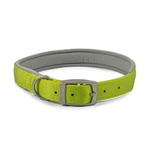 Ancol Viva Dog Collars Buckle Nylon Neoprene Padded Lime 5 Sizes