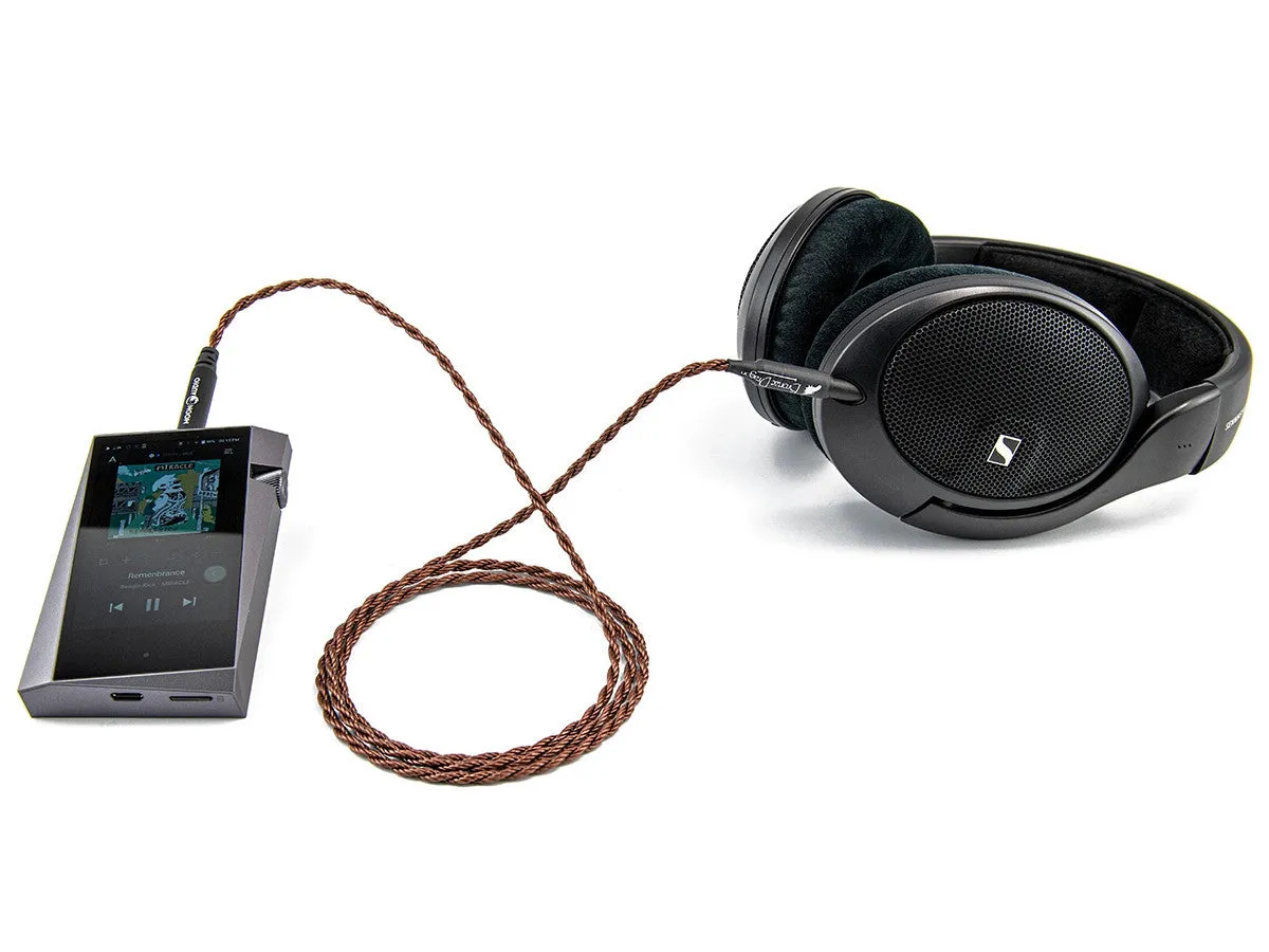 Bronze Dragon Portable Headphone Cable for Focal Bathys