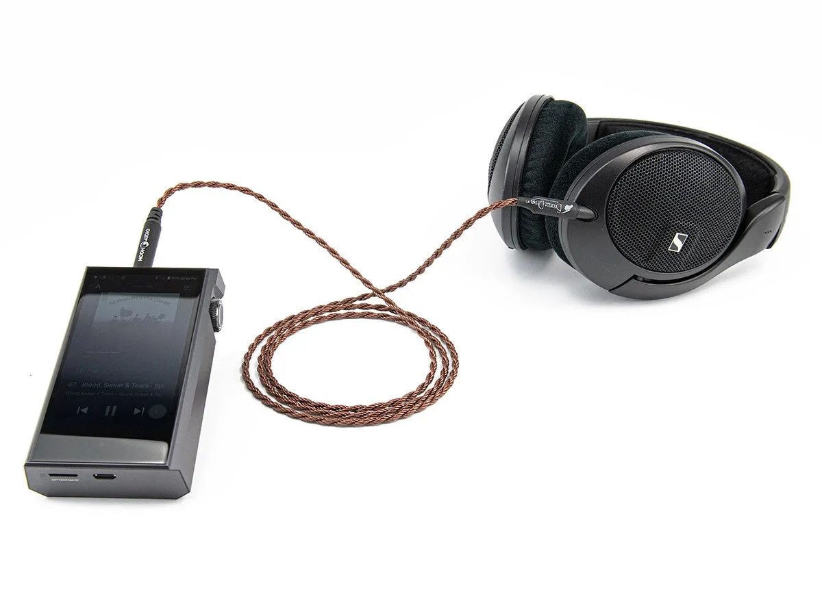 Bronze Dragon Portable Headphone Cable for Focal Bathys