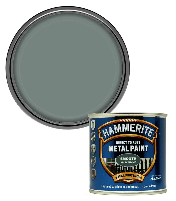 Hammerite Smooth Direct To Rust Metal Paint