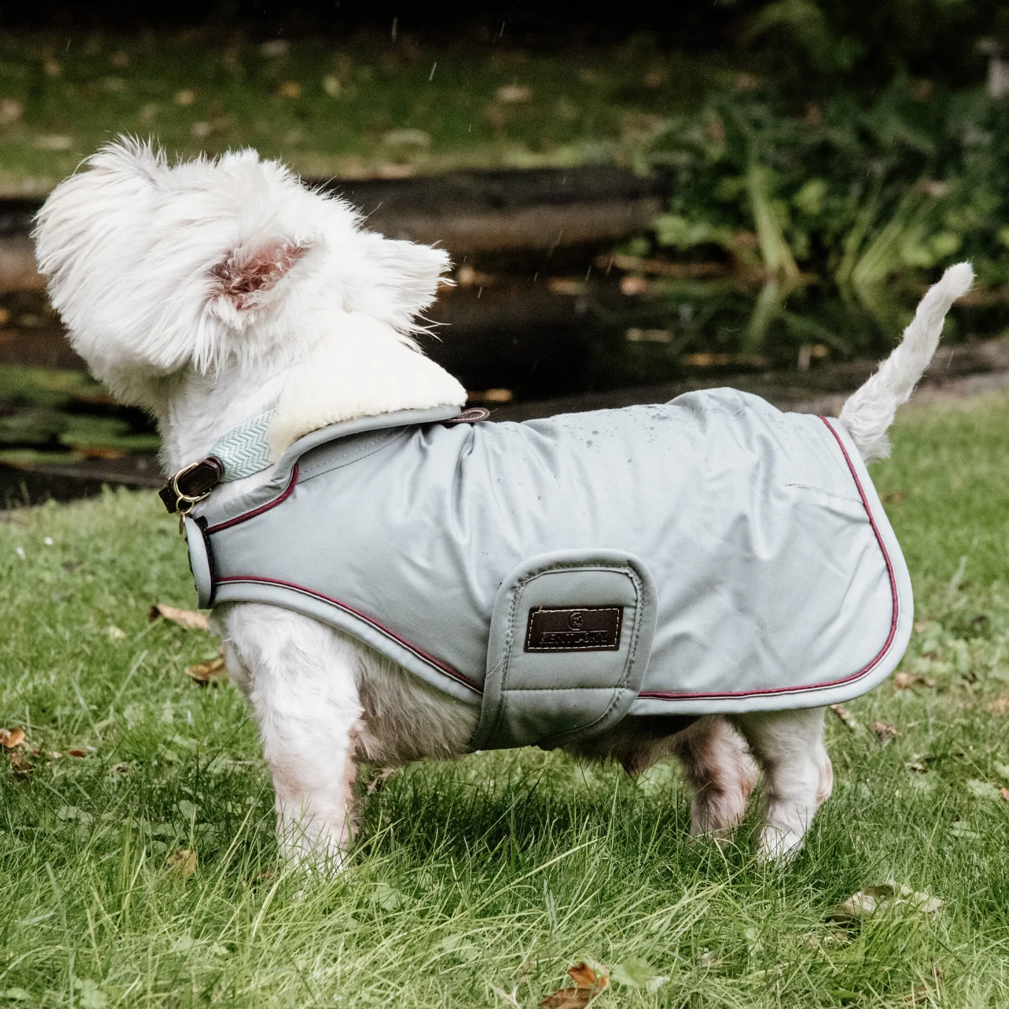 Kentucky Dogwear Waterproof Dog Coat - Dusty Blue