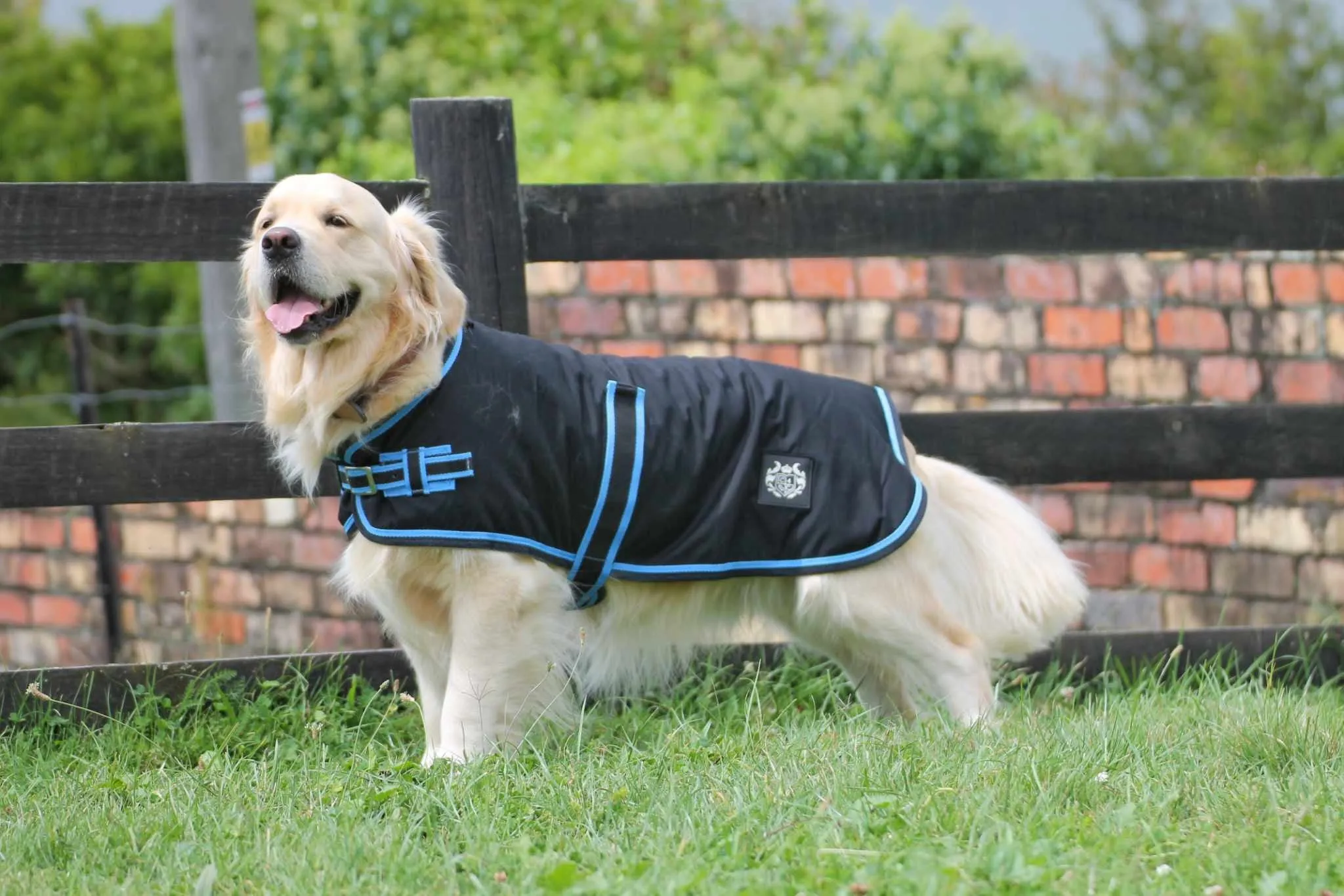 Oilskin Canvas Dog Coats - 2022 Stock clearance