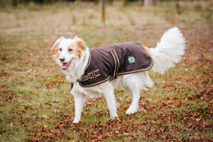 Oilskin Canvas Dog Coats - 2022 Stock clearance